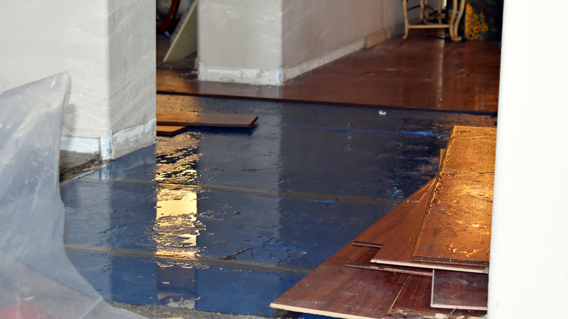 2 water damage restoration pomona